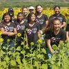 Girls Inspired at Excite Camp Excite-Camp-Sunflowers-S