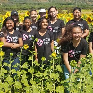 Girls Inspired at Excite Camp Excite-Camp-Sunflowers-S