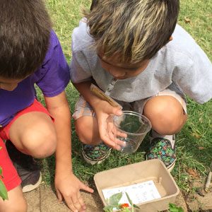 Happenings in the School Garden Kahalui-Elementary-Scavenger-Hunt-S