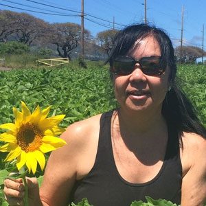 kelly-sunflower-S